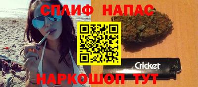 молекула духа Пугачёв