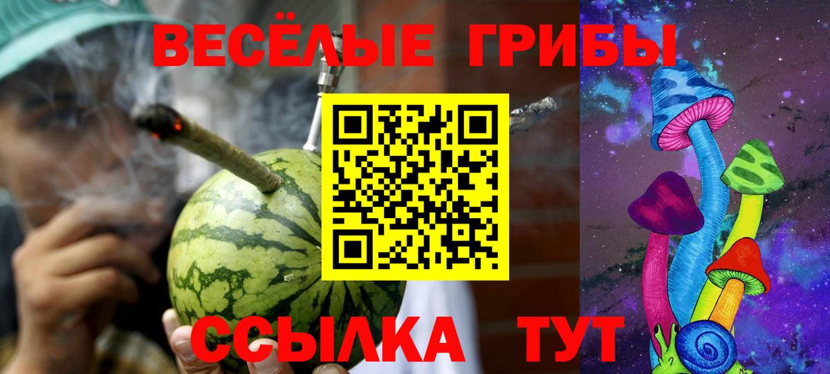 Псилоцибиновые грибы прущие грибы Александров